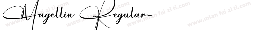 Magellin Regular字体转换